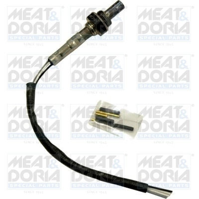 Oxygen Sensor